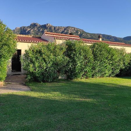 Agriturismo Asara Padru Exterior photo